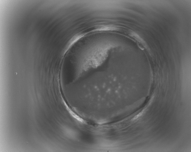 X0000065981425200603031143