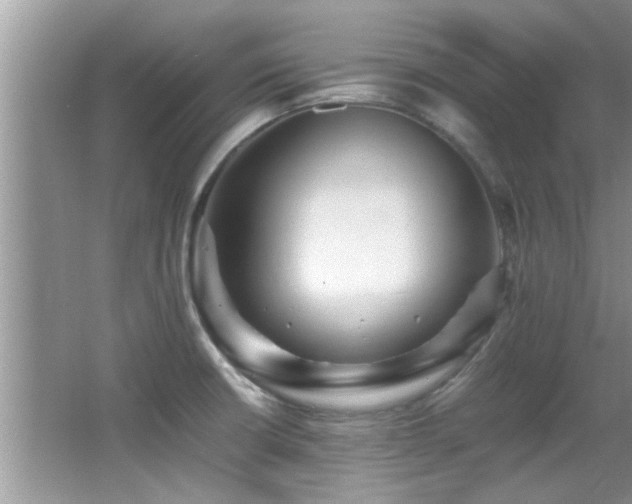 X0000065981426200603031143