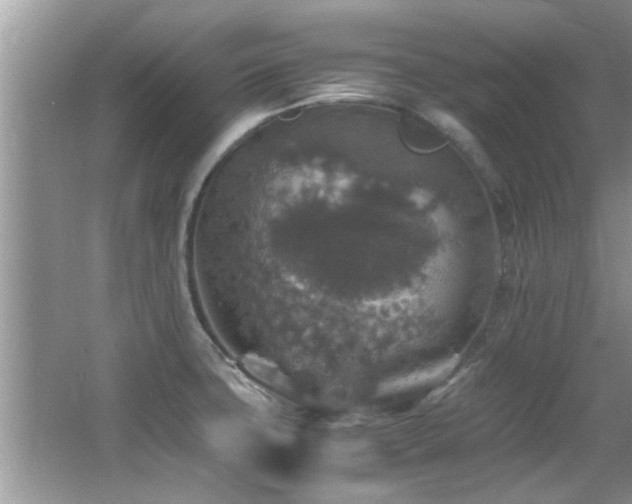 X0000065981427200603031143