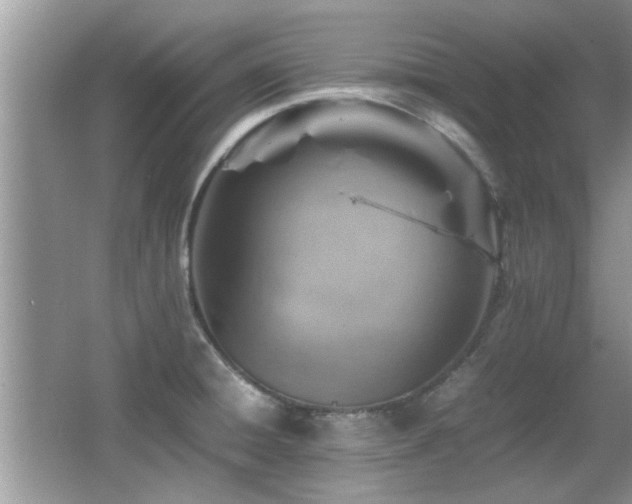 X0000065981428200603031143