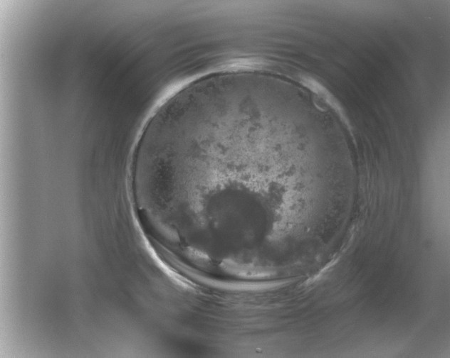 X0000065981429200603031143