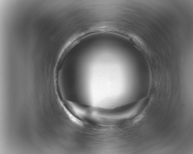 X0000065981430200603031143