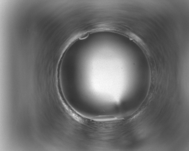 X0000065981431200603031143