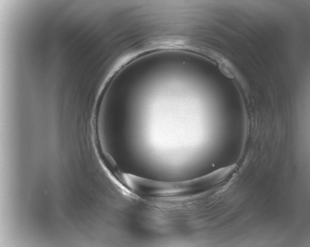 X0000065981432200603031143