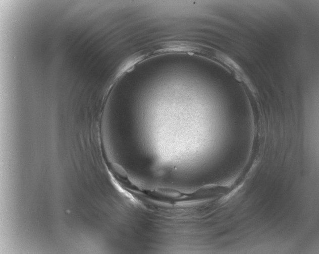 X0000065981433200603031143