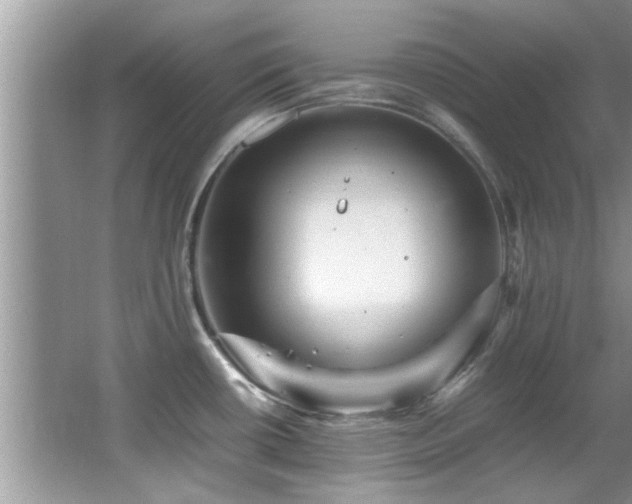 X0000065981434200603031143