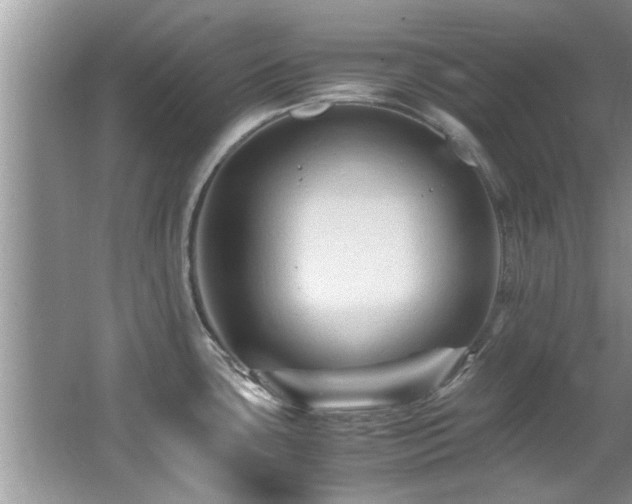 X0000065981435200603031143