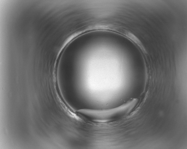 X0000065981436200603031143