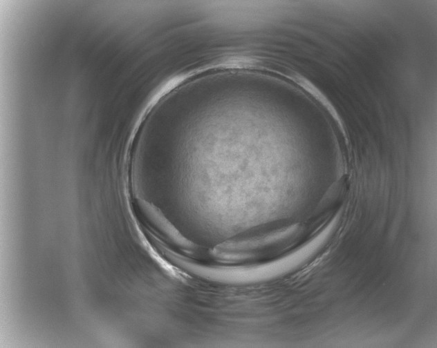 X0000065981437200603031143