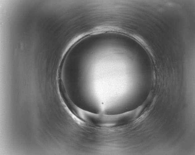 X0000065981438200603031143