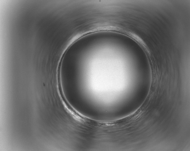 X0000065981439200603031143