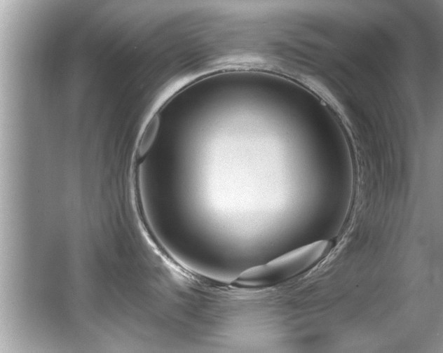 X0000065981440200603031143