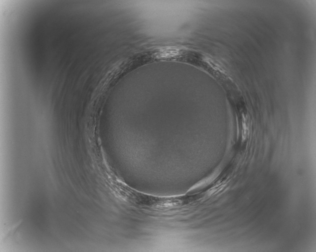 X0000065981441200603031142