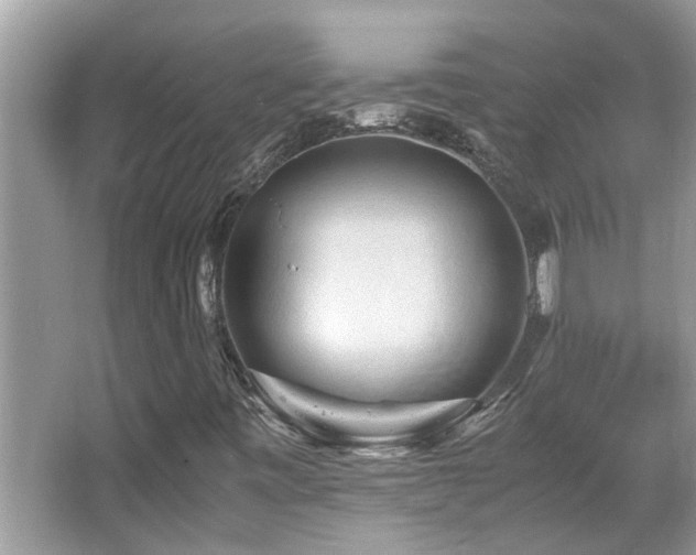 X0000065981443200603031142