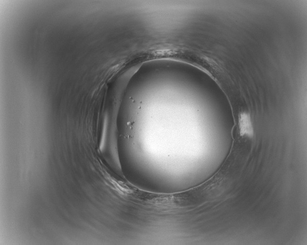 X0000065981444200603031142