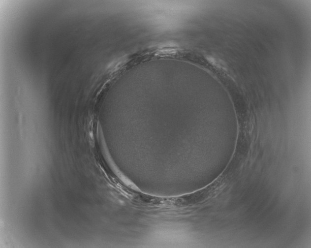 X0000065981445200603031142