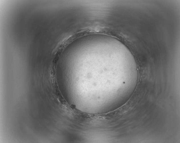 X0000065981446200603031142