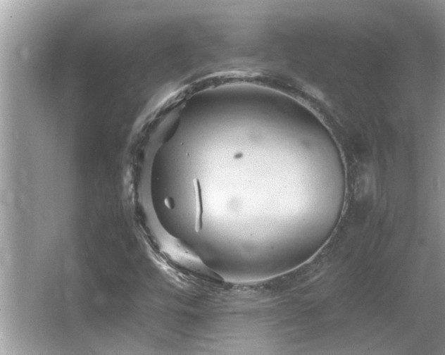 X0000065981448200603031142