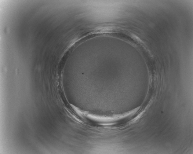 X0000065981449200603031142