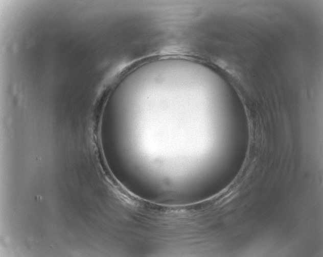 X0000065981454200603031142