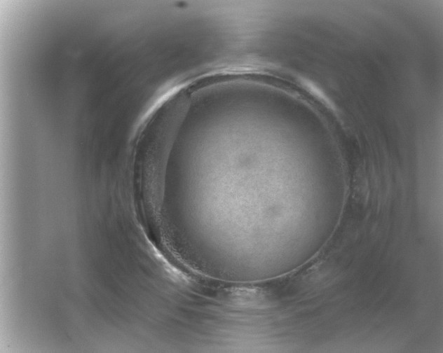 X0000065981456200603031142