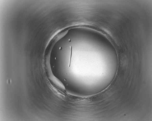 X0000065981460200603031142