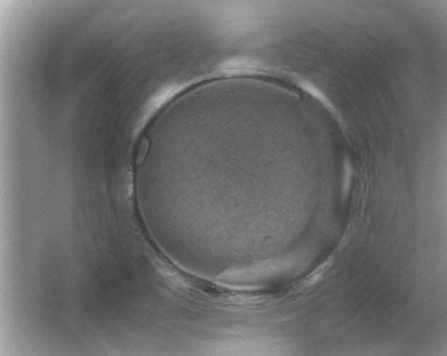 X0000065981461200603031142