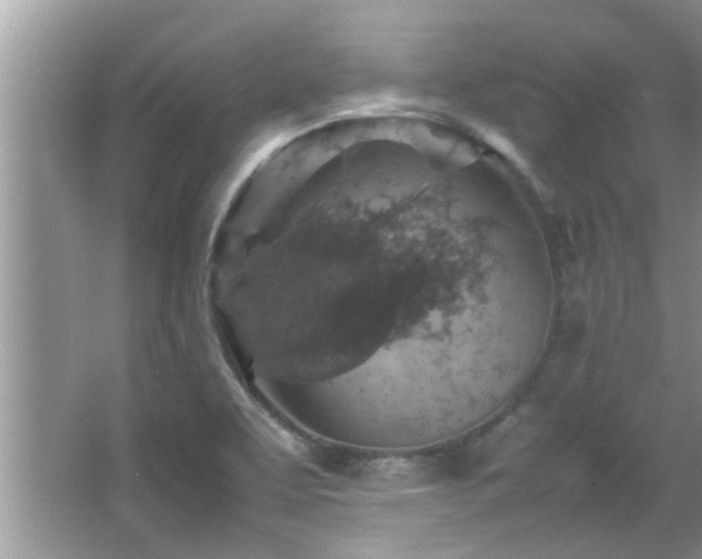 X0000065981463200603031142