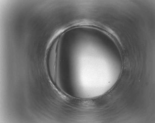 X0000065981464200603031142