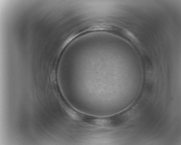 X0000065981465200603031142