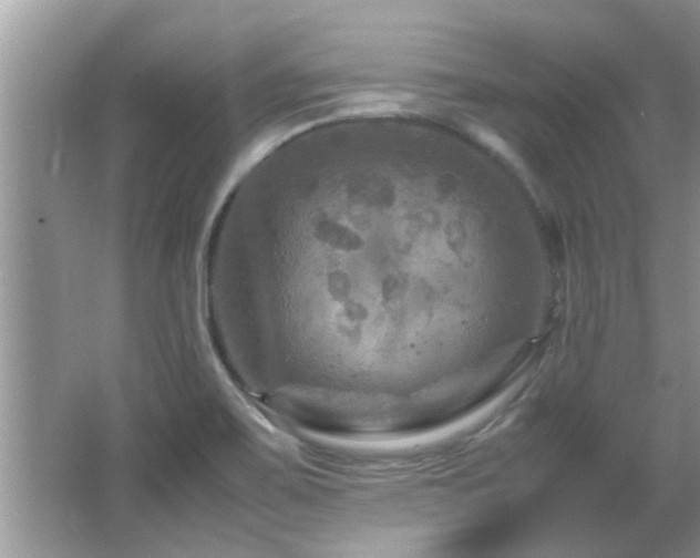 X0000065981467200603031142