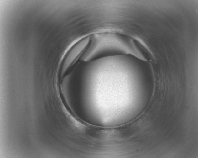 X0000065981468200603031142