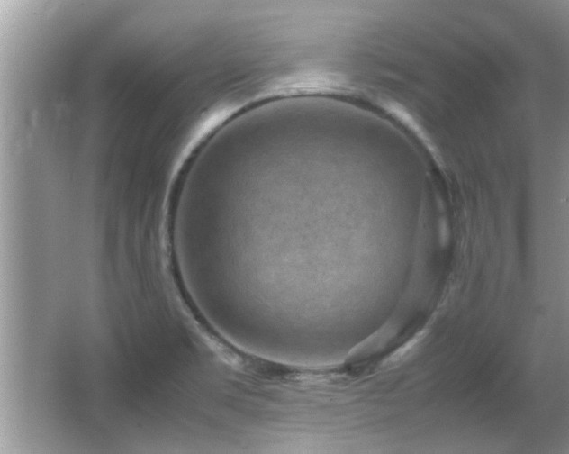 X0000065981469200603031142