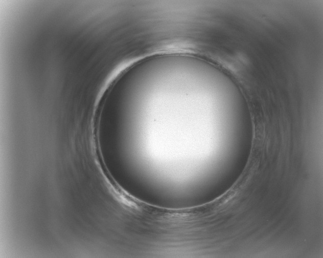 X0000065981470200603031142