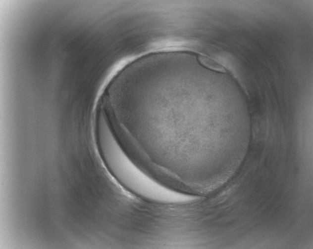 X0000065981472200603031142