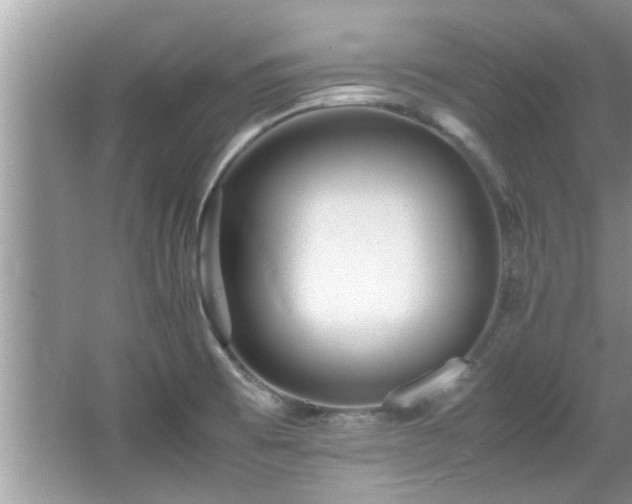 X0000065981473200603031142