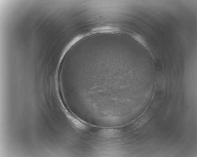 X0000065981474200603031142