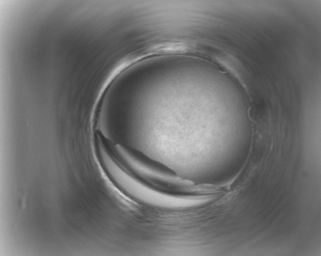 X0000065981475200603031142