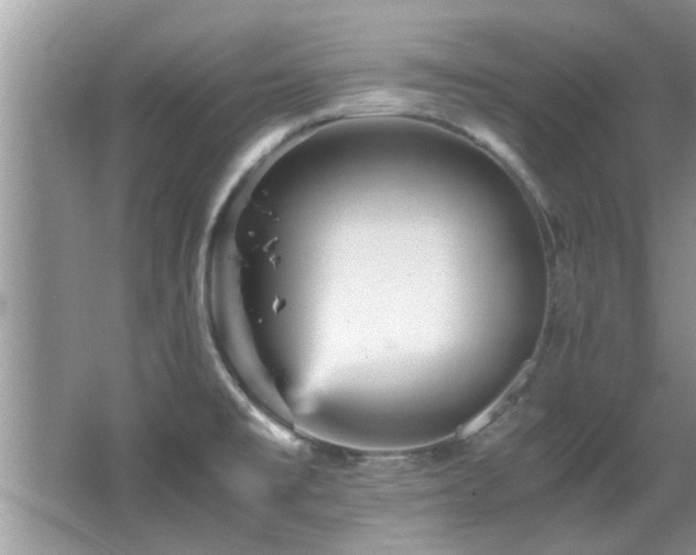 X0000065981477200603031142