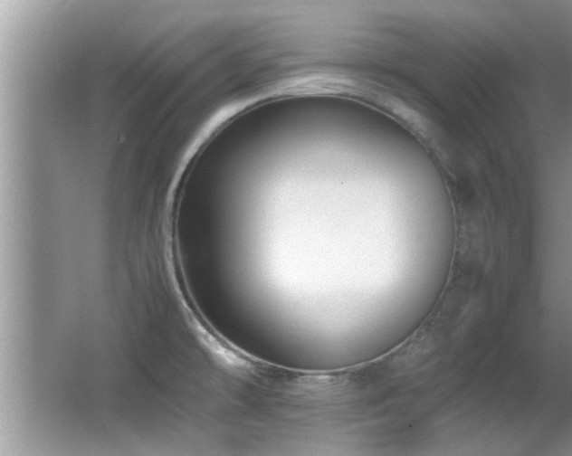 X0000065981478200603031142