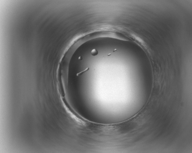 X0000065981479200603031142