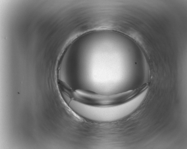 X0000065981480200603031142