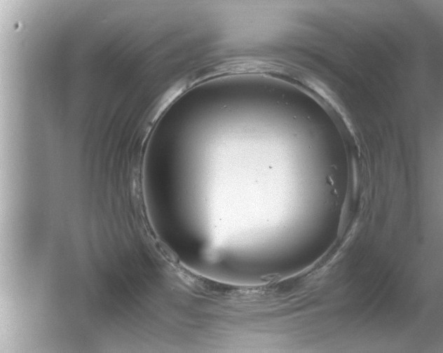 X0000065981481200603031142