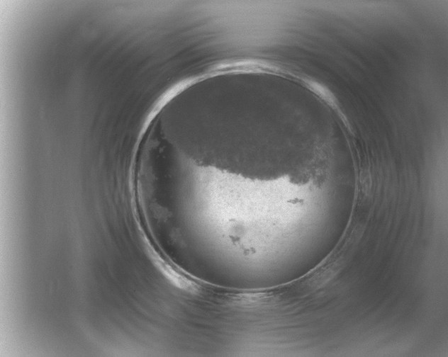 X0000065981482200603031142