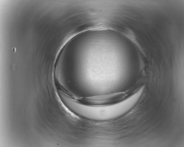 X0000065981484200603031141