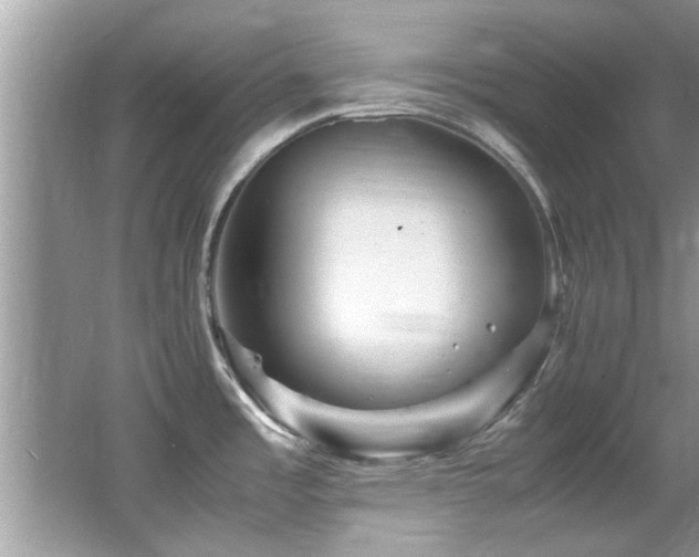 X0000065981485200603031141