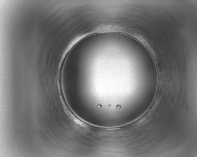 X0000065981486200603031141