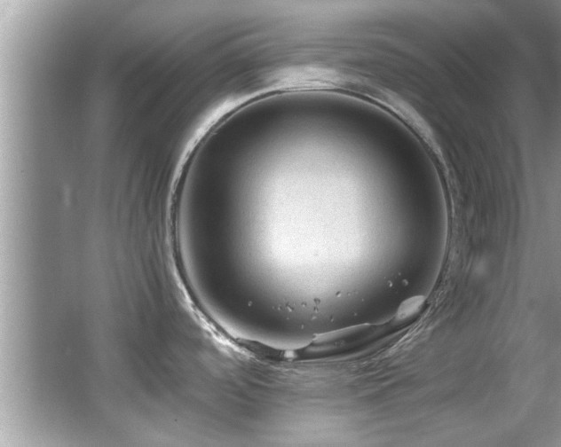 X0000065981488200603031141