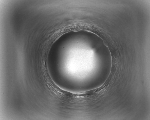 X0000065981489200603031141