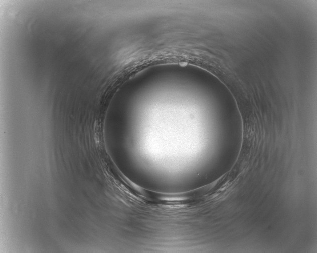 X0000065981490200603031141